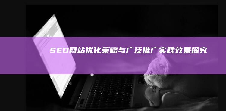 SEO网站优化策略与广泛推广实践效果探究